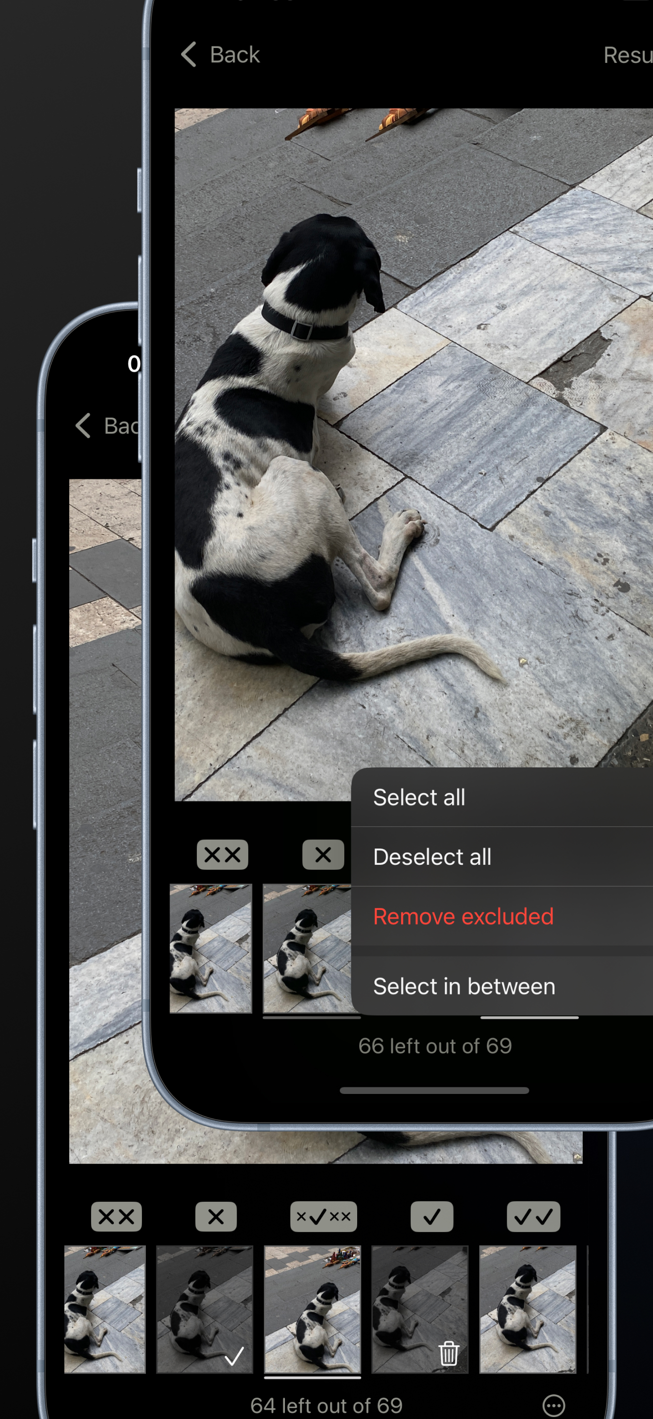 Application screenshot